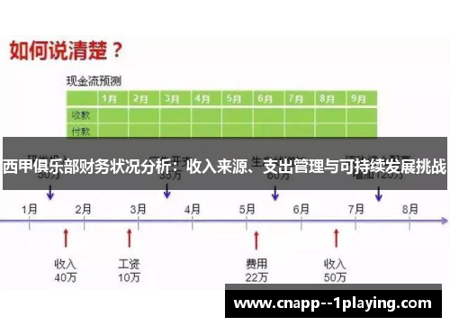 西甲俱乐部财务状况分析：收入来源、支出管理与可持续发展挑战