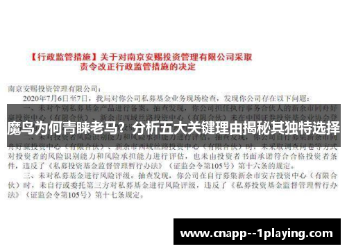 /uploads/images/20260513/mo-niao-wei-he-qing-lai-lao-ma-fen-xi-wu-da-guan-jian-li-you-jie-mi-qi-du-te-xuan-ze.webp