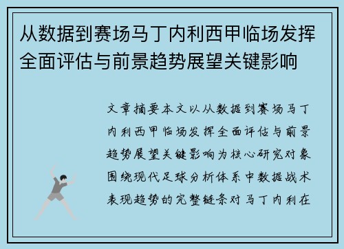 从数据到赛场马丁内利西甲临场发挥全面评估与前景趋势展望关键影响