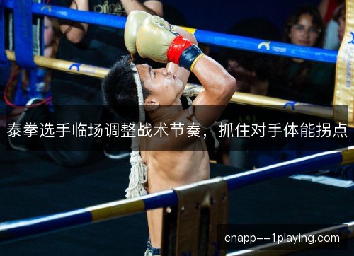 /uploads/images/20261023/tai-quan-xuan-shou-lin-chang-tiao-zheng-zhan-shu-jie-zou-zhua-zhu-dui-shou-ti-neng-guai-dian.webp